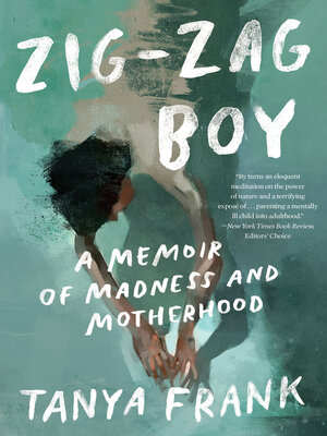 cover image of Zig-Zag Boy